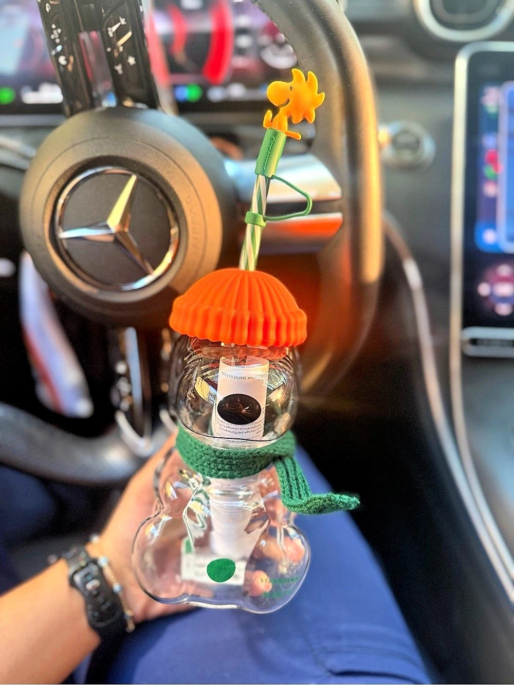 Starbucks x Peanuts Snoopy Glass Water Bottle with Beanie and Scarf & Scarf